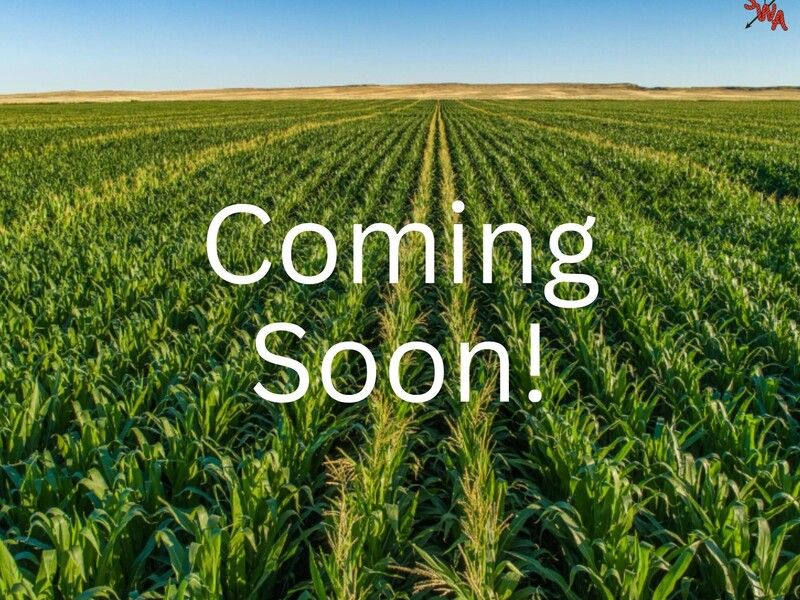 2020 NEW HOLLAND DURADISC 210M For Sale